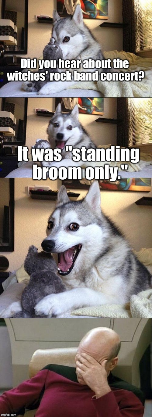 I Guess Witches Can Shred A Lil Bit.... | Did you hear about the witches' rock band concert? It was "standing broom only." | image tagged in memes,bad pun dog,captain picard facepalm | made w/ Imgflip meme maker