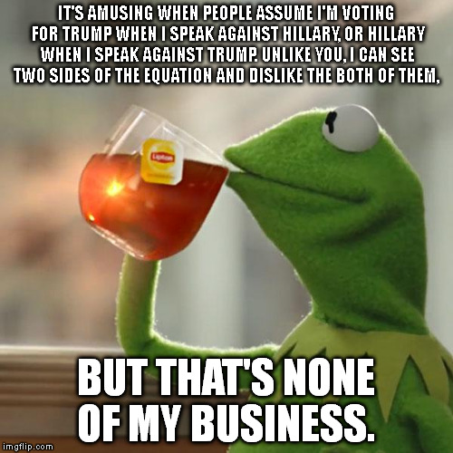 But That's None Of My Business | IT'S AMUSING WHEN PEOPLE ASSUME I'M VOTING FOR TRUMP WHEN I SPEAK AGAINST HILLARY, OR HILLARY WHEN I SPEAK AGAINST TRUMP. UNLIKE YOU, I CAN SEE TWO SIDES OF THE EQUATION AND DISLIKE THE BOTH OF THEM, BUT THAT'S NONE OF MY BUSINESS. | image tagged in memes,but thats none of my business,kermit the frog | made w/ Imgflip meme maker
