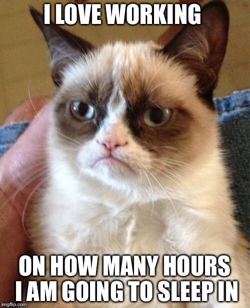 Grumpy Cat | I LOVE WORKING; ON HOW MANY HOURS I AM GOING TO SLEEP IN | image tagged in memes,grumpy cat | made w/ Imgflip meme maker