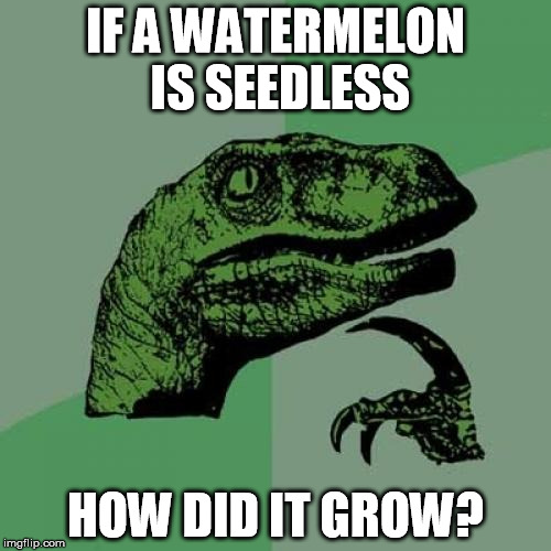 Seedless Watermelon | IF A WATERMELON IS SEEDLESS; HOW DID IT GROW? | image tagged in memes,philosoraptor,watermelon | made w/ Imgflip meme maker