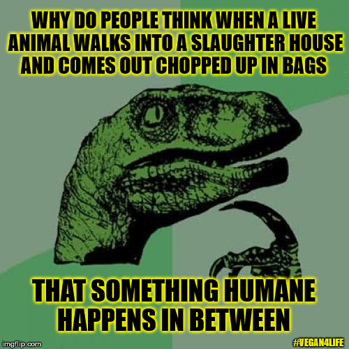 Vegan Philosoraptor | WHY DO PEOPLE THINK WHEN A LIVE ANIMAL WALKS INTO A SLAUGHTER HOUSE AND COMES OUT CHOPPED UP IN BAGS; THAT SOMETHING HUMANE HAPPENS IN BETWEEN; #VEGAN4LIFE | image tagged in memes,philosoraptor,vegan,vegan4life,slaughter | made w/ Imgflip meme maker