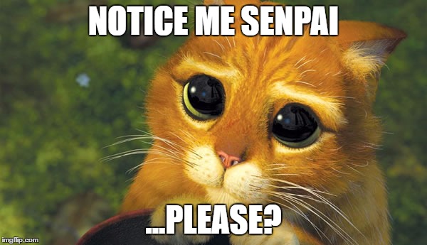 notice me senpai | NOTICE ME SENPAI; ...PLEASE? | image tagged in notice me senpai,puss in boots,senpai notice me,cute eyes,cat,adorable | made w/ Imgflip meme maker