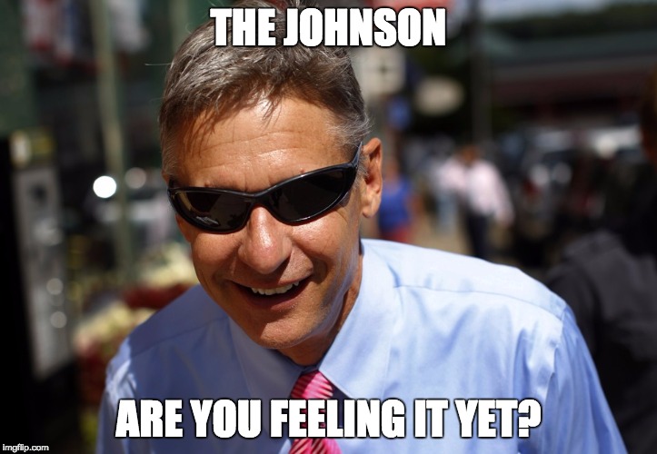 Time to Feel the Johnson | THE JOHNSON; ARE YOU FEELING IT YET? | image tagged in gary johnson,feel the johnson | made w/ Imgflip meme maker