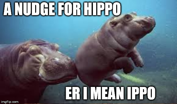 A NUDGE FOR HIPPO ER I MEAN IPPO | made w/ Imgflip meme maker