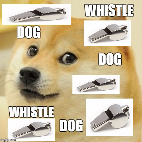 Dog whistle politics | WHISTLE; DOG; DOG; WHISTLE; DOG | image tagged in memes,doge | made w/ Imgflip meme maker