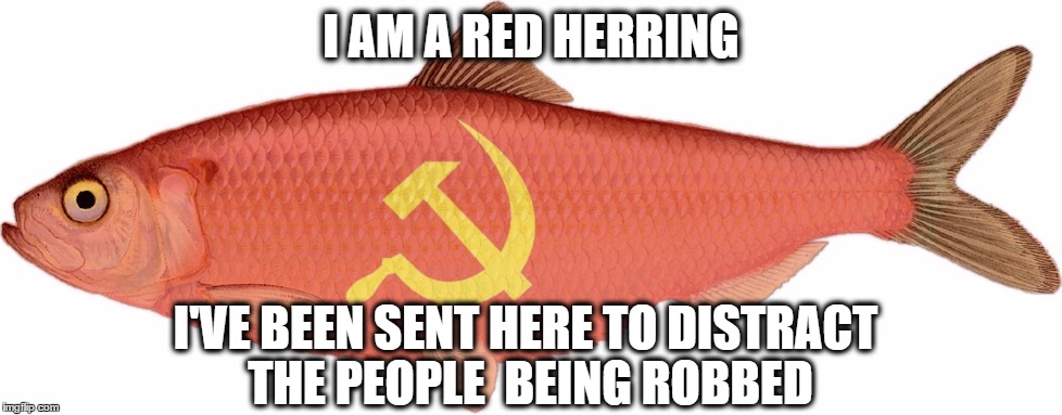 I AM A RED HERRING; I'VE BEEN SENT HERE TO DISTRACT THE PEOPLE  BEING ROBBED | image tagged in hillary clinton,hillary,dnc,dnc e-mails,dncleaks,wikileaks | made w/ Imgflip meme maker