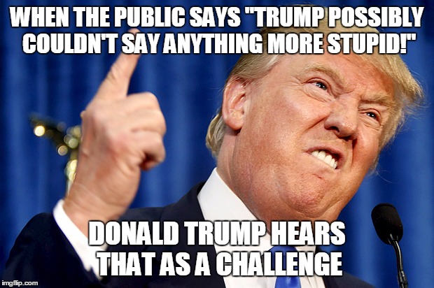 Donald Trump | WHEN THE PUBLIC SAYS "TRUMP POSSIBLY COULDN'T SAY ANYTHING MORE STUPID!"; DONALD TRUMP HEARS THAT AS A CHALLENGE | image tagged in donald trump | made w/ Imgflip meme maker