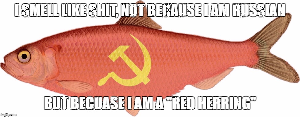 I SMELL LIKE SHIT, NOT BECAUSE I AM RUSSIAN; BUT BECUASE I AM A "RED HERRING" | image tagged in dncleaks,hillary clinton | made w/ Imgflip meme maker