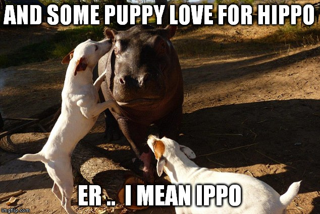 AND SOME PUPPY LOVE FOR HIPPO ER ..  I MEAN IPPO | made w/ Imgflip meme maker