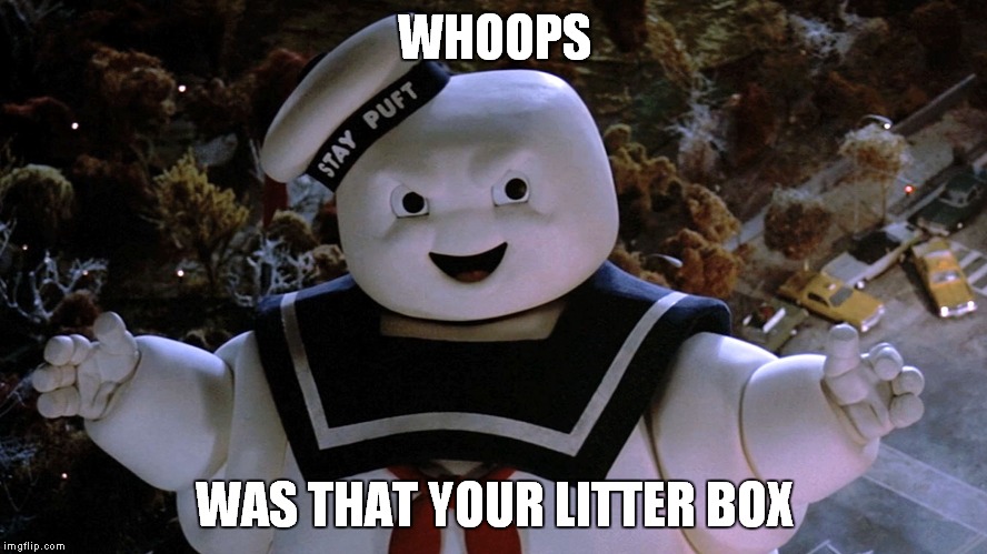 WHOOPS WAS THAT YOUR LITTER BOX | made w/ Imgflip meme maker