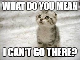 Sad Cat | WHAT DO YOU MEAN; I CAN'T GO THERE? | image tagged in memes,sad cat,cats | made w/ Imgflip meme maker