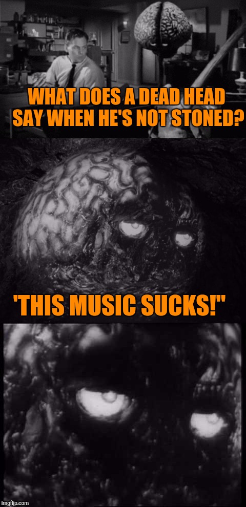 Floating Dead | WHAT DOES A DEAD HEAD SAY WHEN HE'S NOT STONED? 'THIS MUSIC SUCKS!" | image tagged in brian and chuck | made w/ Imgflip meme maker