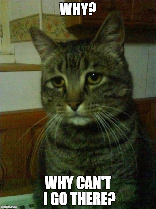 Depressed Cat | WHY? WHY CAN'T I GO THERE? | image tagged in memes,depressed cat | made w/ Imgflip meme maker