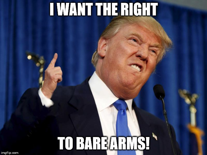 trump small hands | I WANT THE RIGHT; TO BARE ARMS! | image tagged in trump small hands | made w/ Imgflip meme maker