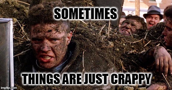 SOMETIMES; THINGS ARE JUST CRAPPY | image tagged in back to the future,manure | made w/ Imgflip meme maker