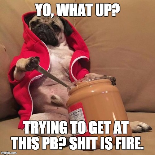 Pugs and Peanut Butter Chilling | YO, WHAT UP? TRYING TO GET AT THIS PB? SHIT IS FIRE. | image tagged in pugs,introspective pug,funny animals,funny meme,too damn high | made w/ Imgflip meme maker