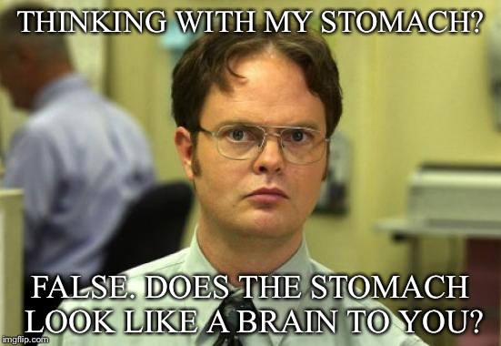 Dwight Schrute Meme | THINKING WITH MY STOMACH? FALSE. DOES THE STOMACH LOOK LIKE A BRAIN TO YOU? | image tagged in memes,dwight schrute | made w/ Imgflip meme maker