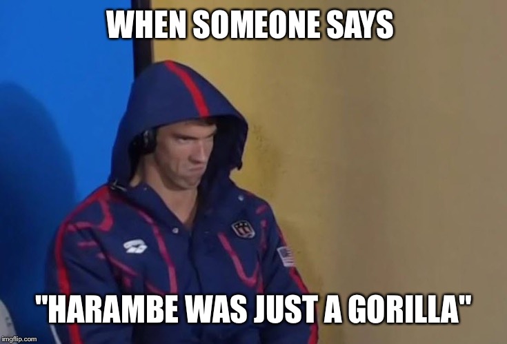 WHEN SOMEONE SAYS; "HARAMBE WAS JUST A GORILLA" | image tagged in harambe,michael phelps death stare | made w/ Imgflip meme maker