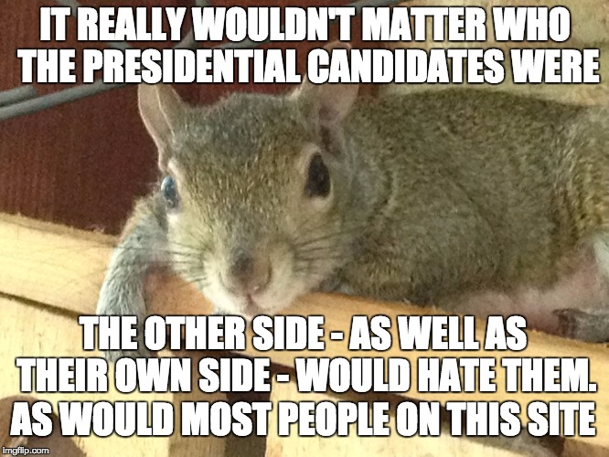 Squirrel Philosopher | IT REALLY WOULDN'T MATTER WHO THE PRESIDENTIAL CANDIDATES WERE; THE OTHER SIDE - AS WELL AS THEIR OWN SIDE - WOULD HATE THEM. AS WOULD MOST PEOPLE ON THIS SITE | image tagged in squirrel philosopher | made w/ Imgflip meme maker