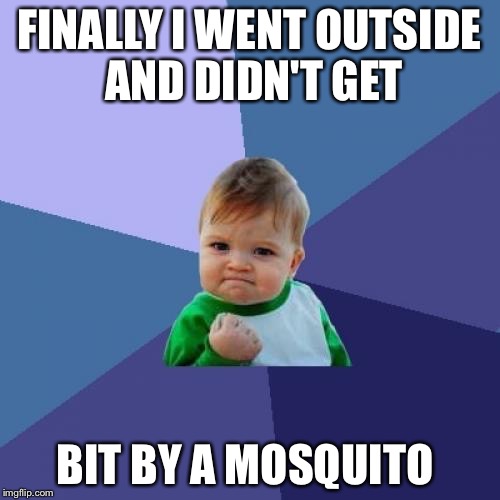 I made this but i said but instead of bit it was autocorrect I feel stupid | FINALLY I WENT OUTSIDE AND DIDN'T GET; BIT BY A MOSQUITO | image tagged in memes,success kid | made w/ Imgflip meme maker