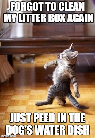 Cool Cat Stroll Meme | FORGOT TO CLEAN MY LITTER BOX AGAIN; JUST PEED IN THE DOG'S WATER DISH | image tagged in memes,cool cat stroll | made w/ Imgflip meme maker