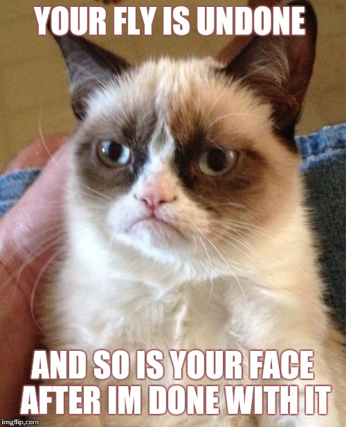 Cat-astrophic | YOUR FLY IS UNDONE; AND SO IS YOUR FACE AFTER IM DONE WITH IT | image tagged in memes,grumpy cat | made w/ Imgflip meme maker