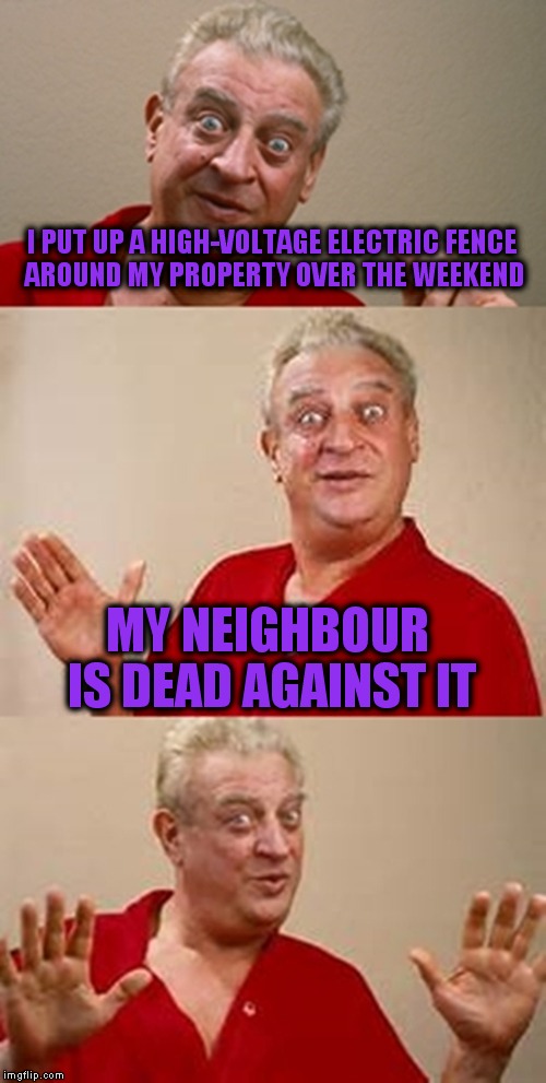 bad pun Dangerfield  | I PUT UP A HIGH-VOLTAGE ELECTRIC FENCE AROUND MY PROPERTY OVER THE WEEKEND; MY NEIGHBOUR IS DEAD AGAINST IT | image tagged in bad pun dangerfield | made w/ Imgflip meme maker
