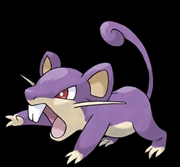 High Quality rattata Blank Meme Template