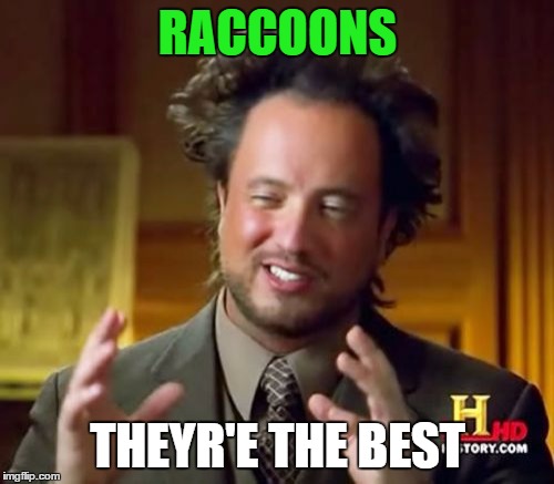Ancient Aliens Meme | RACCOONS THEYR'E THE BEST | image tagged in memes,ancient aliens | made w/ Imgflip meme maker