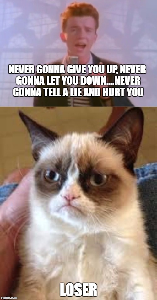 Never Gonna Mess with Grumpy Cat | NEVER GONNA GIVE YOU UP, NEVER GONNA LET YOU DOWN....NEVER GONNA TELL A LIE AND HURT YOU; LOSER | image tagged in grumpy cat,rick astley,funny memes | made w/ Imgflip meme maker