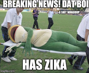 BREAKING NEWS! DAT BOI; -O SHIT WHADDUP; HAS ZIKA | image tagged in dat boi,heat stroke frog mascot,zika virus,zika,memes | made w/ Imgflip meme maker