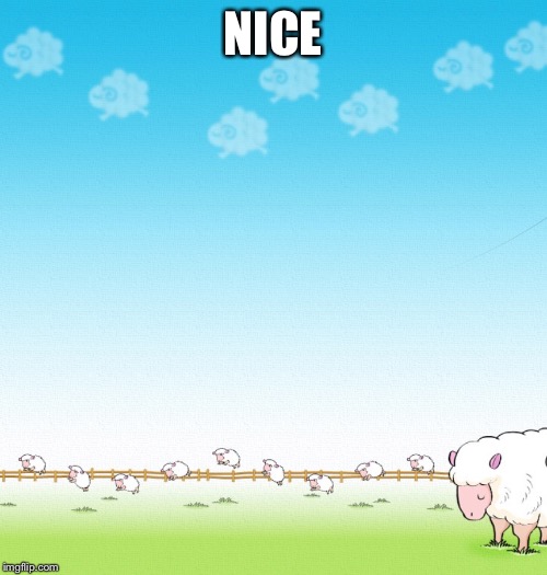 LIGHTHEARTED SHEEP | NICE | image tagged in lighthearted sheep | made w/ Imgflip meme maker