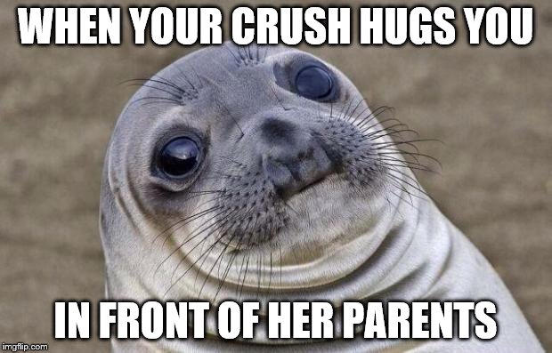Awkward Moment Sealion | WHEN YOUR CRUSH HUGS YOU; IN FRONT OF HER PARENTS | image tagged in memes,awkward moment sealion | made w/ Imgflip meme maker