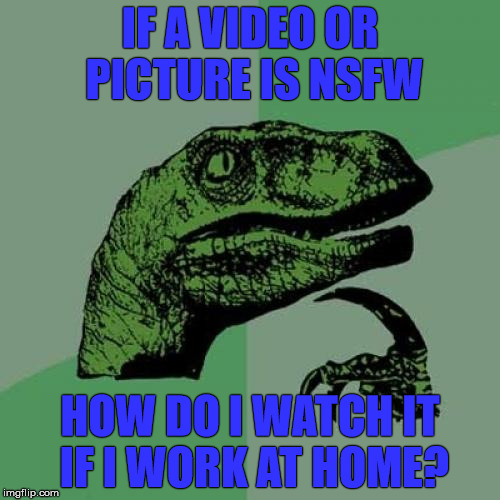 Philosoraptor Meme | IF A VIDEO OR PICTURE IS NSFW; HOW DO I WATCH IT IF I WORK AT HOME? | image tagged in memes,philosoraptor | made w/ Imgflip meme maker