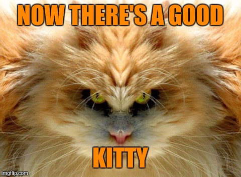 NOW THERE'S A GOOD KITTY | made w/ Imgflip meme maker