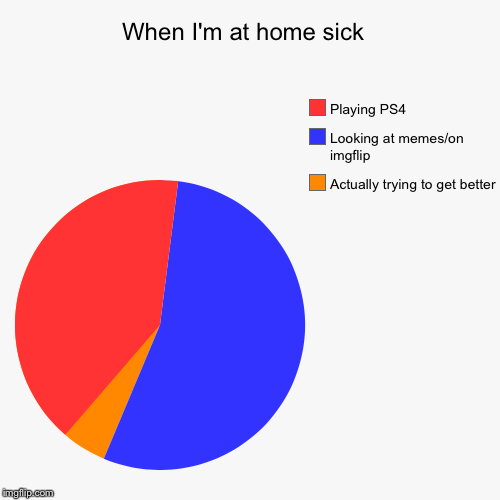 Home from school | image tagged in funny,pie charts,school meme,calling in sick | made w/ Imgflip chart maker