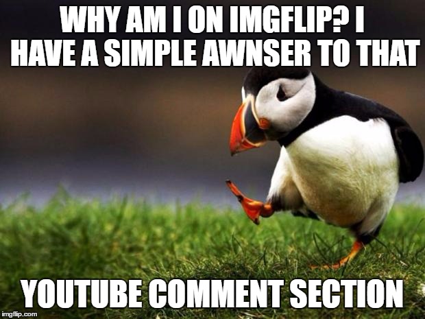 Unpopular Opinion Puffin Meme | WHY AM I ON IMGFLIP? I HAVE A SIMPLE AWNSER TO THAT; YOUTUBE COMMENT SECTION | image tagged in memes,unpopular opinion puffin | made w/ Imgflip meme maker