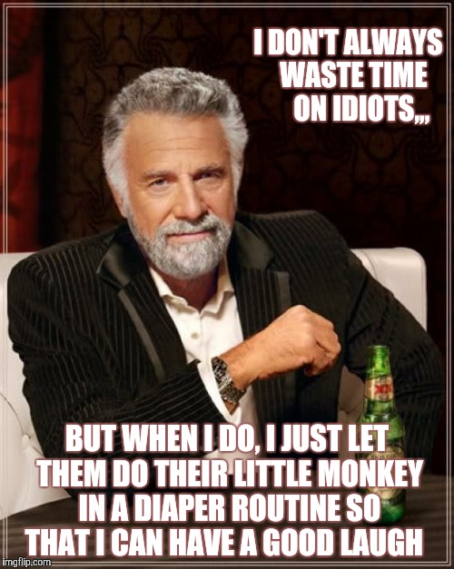 The Most Interesting Man In The World | I DON'T ALWAYS      WASTE TIME         ON IDIOTS,,, BUT WHEN I DO, I JUST LET THEM DO THEIR LITTLE MONKEY IN A DIAPER ROUTINE SO  THAT I CAN HAVE A GOOD LAUGH | image tagged in memes,the most interesting man in the world | made w/ Imgflip meme maker