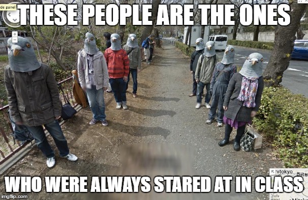 All Hail Pigeon People | THESE PEOPLE ARE THE ONES; WHO WERE ALWAYS STARED AT IN CLASS | image tagged in pigeons,google maps,lol | made w/ Imgflip meme maker