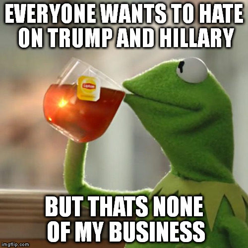 But That's None Of My Business | EVERYONE WANTS TO HATE ON TRUMP AND HILLARY; BUT THATS NONE OF MY BUSINESS | image tagged in memes,but thats none of my business,kermit the frog | made w/ Imgflip meme maker