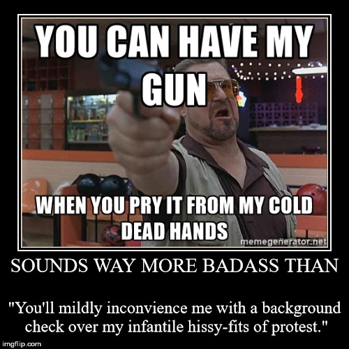 SOUNDS WAY MORE BADASS THAN | "You'll mildly inconvience me with a background check over my infantile hissy-fits of protest." | image tagged in funny,demotivationals | made w/ Imgflip demotivational maker