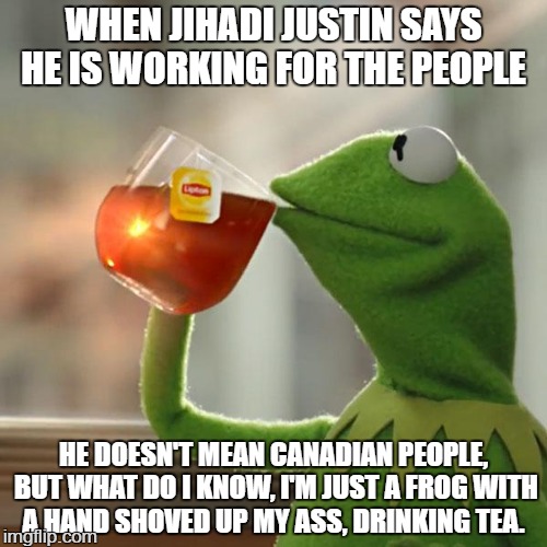 But That's None Of My Business | WHEN JIHADI JUSTIN SAYS HE IS WORKING FOR THE PEOPLE; HE DOESN'T MEAN CANADIAN PEOPLE, BUT WHAT DO I KNOW, I'M JUST A FROG WITH A HAND SHOVED UP MY ASS, DRINKING TEA. | image tagged in memes,but thats none of my business,kermit the frog | made w/ Imgflip meme maker