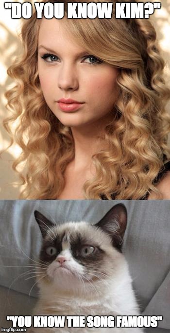 Grumpy Cat says "no" to Taylor Swift as NYC Global Welcome Ambas | "DO YOU KNOW KIM?"; "YOU KNOW THE SONG FAMOUS" | image tagged in grumpy cat says no to taylor swift as nyc global welcome ambas | made w/ Imgflip meme maker