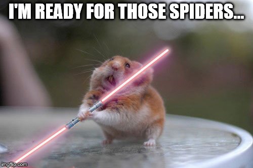 I'M READY FOR THOSE SPIDERS... | made w/ Imgflip meme maker