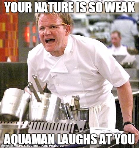 Chef Gordon Ramsay | YOUR NATURE IS SO WEAK; AQUAMAN LAUGHS AT YOU | image tagged in memes,chef gordon ramsay | made w/ Imgflip meme maker
