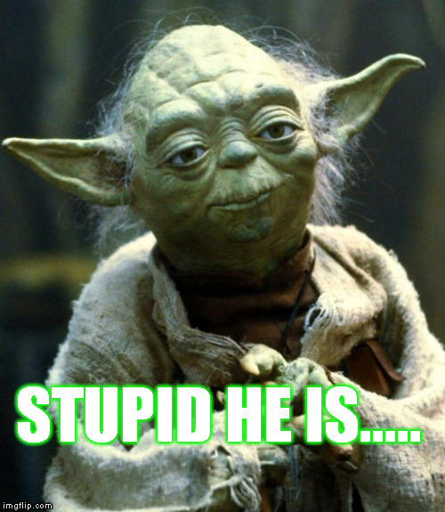Star Wars Yoda Meme | STUPID HE IS..... | image tagged in memes,star wars yoda | made w/ Imgflip meme maker