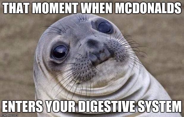 Awkward Moment Sealion | THAT MOMENT WHEN MCDONALDS; ENTERS YOUR DIGESTIVE SYSTEM | image tagged in memes,awkward moment sealion | made w/ Imgflip meme maker