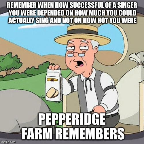 Pepperidge Farm Remembers Meme | REMEMBER WHEN HOW SUCCESSFUL OF A SINGER YOU WERE DEPENDED ON HOW MUCH YOU COULD ACTUALLY SING AND NOT ON HOW HOT YOU WERE; PEPPERIDGE FARM REMEMBERS | image tagged in memes,pepperidge farm remembers | made w/ Imgflip meme maker