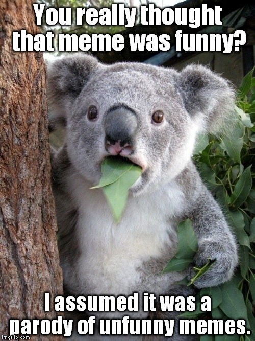 Surprised Koala | You really thought that meme was funny? I assumed it was a parody of unfunny memes. | image tagged in memes,surprised coala | made w/ Imgflip meme maker
