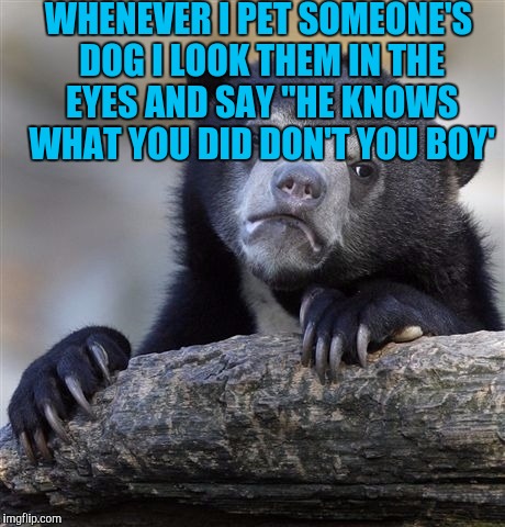 Confession Bear | WHENEVER I PET SOMEONE'S DOG I LOOK THEM IN THE EYES AND SAY "HE KNOWS WHAT YOU DID DON'T YOU BOY' | image tagged in memes,confession bear | made w/ Imgflip meme maker